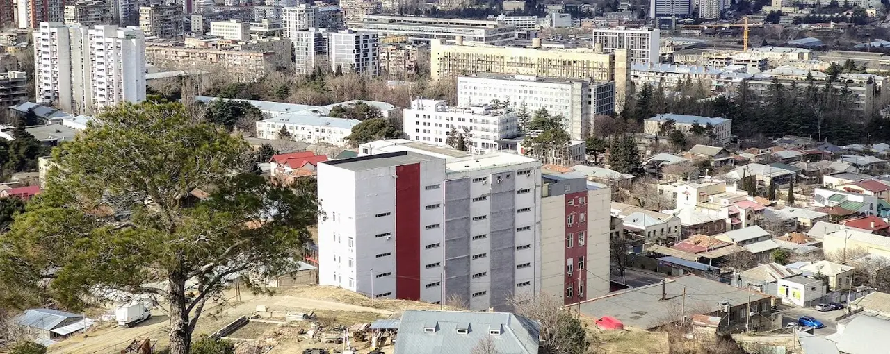 Caucasus International University